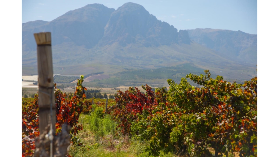 Commercial Property for Sale in Wolseley Western Cape